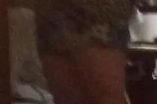 💋 LETS HAVE SOME FUN 💋 - Image 3